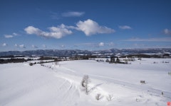 [a7R2+2470GM] 원예학과에서 화훼학 가르치는 제 입장에서 할 말은 아닙니다만.... - 소니 Talk [a7R2+2470GM] 원예학과에서 화훼학 가르치는... 