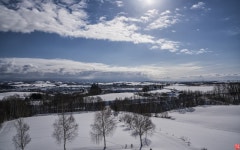 [a7R2+2470GM] 원예학과에서 화훼학 가르치는 제 입장에서 할 말은 아닙니다만.... - 소니 Talk [a7R2+2470GM] 원예학과에서 화훼학 가르치는... 