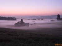 [타기종] 안성목장 - 소니 Talk [타기종] 안성목장