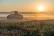 [A7M2, 타기종] 2017. 05. 27. 안성목장의 아침 (4pics) - 소니 Talk [A7M2, 타기종] 2017. 05. 27. 안성목장의 아침 (4pics)