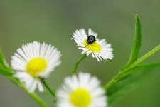 [A6300] 캠핑 가서 만난 (2부) - 소니 Talk [A6300] 캠핑 가서 만난 (2부)
