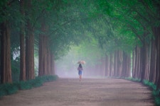 [A9+메타본즈+200대포] 비 내리는 메타 길 - 팝코넷 | 베스트 게시판 [A9+메타본즈+200대포] 비 내리는 메타 길