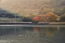 [a9] 여수 선소 - 소니 Talk [a9] 여수 선소