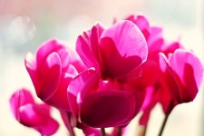 즐거운 오후 되세요 - 소니 Talk 즐거운 오후 되세요