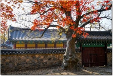 [A7R2]2470GM외, 경주 출사. - 소니 Talk [A7R2]2470GM외, 경주 출사.