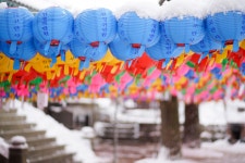 [a7r2+mc-11.캐논85f1.8]부소산 아침 산책 - 소니 Talk [a7r2+mc-11.캐논85f1.8]부소산 아침 산책