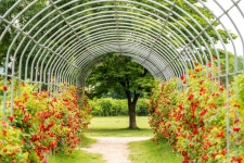 [A7Riii + FE100-400gm] 양화 한강공원 - 소니 Talk [A7Riii + FE100-400gm] 양화 한강공원