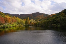 송곡지 - 소니 Talk 송곡지