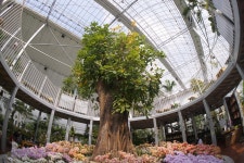 [A7M2, a6000] 화성 바오밥식물원 베이커리 카페 - 소니 Talk [A7M2, a6000] 화성 바오밥식물원 베이커리 카페