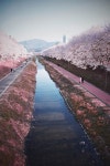 어제 양재천 ~~ - 소니 Talk 어제 양재천 ~~