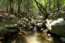 [A7M3] 산수갑산 - 소니 Talk [A7M3] 산수갑산