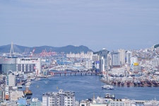 부산스러운 사진 - 소니 Talk 부산스러운 사진