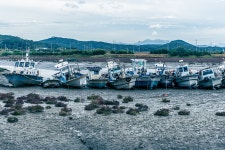 [A7M2] 소래습지생태공원 ......................... - 팝코넷 | 팝게&톡 이슈게시판 [A7M2] 소래습지생태공원 .........................