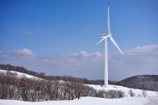 [a7R IV] 대관령 삼양목장 2 - 소니 Talk [a7R IV] 대관령 삼양목장 2