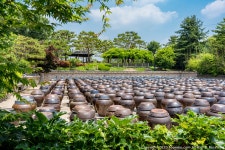 [A7R4 + 1635GM] 안성 서일농원 - 소니 Talk [A7R4 + 1635GM] 안성 서일농원