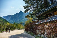 [A7M2] 사찰의 담장너머... - 소니 Talk [A7M2] 사찰의 담장너머...