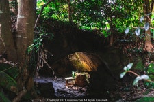 제주도 여행 7일차 (선흘의자동굴, 김경숙해바라기농장, 서부두방파제 일몰) - 소니 Talk 제주도 여행 7일차 (선흘의자동굴, 김경숙해바라기농장... 