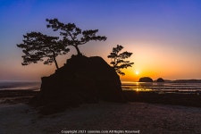 충남 여행 (죽도상화원, 옥마산 은하수, 서천 솔섬일몰) - 팝코넷 | 팝게&톡 이슈게시판 충남 여행 (죽도상화원, 옥마산 은하수, 서천 솔섬일몰)