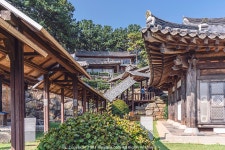 충남 여행 (죽도상화원, 옥마산 은하수, 서천 솔섬일몰) - 팝코넷 | 팝게&톡 이슈게시판 충남 여행 (죽도상화원, 옥마산 은하수, 서천 솔섬일몰)