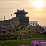 [a7R IV] 수원 화성 - 소니 Talk [a7R IV] 수원 화성