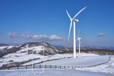 [a1] 대관령 삼양목장 - 소니 Talk [a1] 대관령 삼양목장