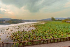 A7CR+16-25G-보통저수지 카페에서 - 소니 Talk A7CR+16-25G-보통저수지 카페에서