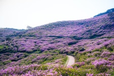 합천 황매산에서..... - 소니 Talk 합천 황매산에서.....