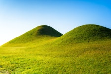 아직은 초록..... - 소니 Talk 아직은 초록.....