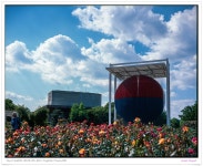 올림픽공원 장미 정원의 두 모습. - 필름 Talk 올림픽공원 장미 정원의 두 모습.