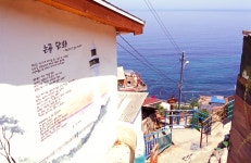 묵호항 논골담길 - 팝코넷 | 팝게&톡 이슈게시판 묵호항 논골담길