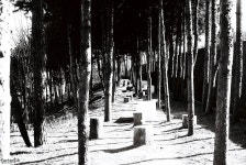 [a9000] 서서울 호수공원 - 필름 Talk [a9000] 서서울 호수공원