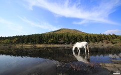 [오막삼 + 12-24] 요즘 초광각에 빠져 있습니다. - 팝코넷 | 베스트 갤러리 [오막삼 + 12-24] 요즘 초광각에 빠져 있습니다.