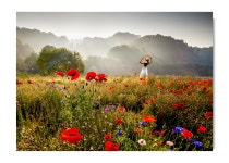 상쾌한 아침 - 팝코넷 | 베스트 갤러리 상쾌한 아침