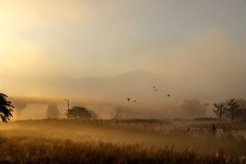 빛 - 팝코넷 | 베스트 갤러리 빛