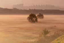 빛 - 팝코넷 | 베스트 갤러리 빛