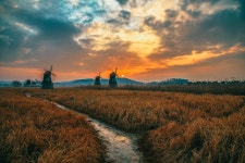 소래습지 생태공원 - 팝코넷 | 베스트 갤러리 소래습지 생태공원