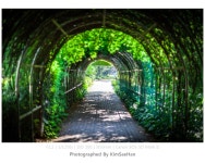 물향기 수목원(오두막,오이만두 적응중) - 짤방북스 물향기 수목원(오두막,오이만두 적응중)