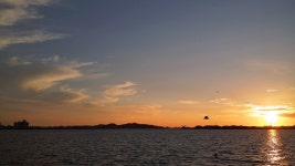 [노트3네오]금강하구둑 갈매기노을 - 모바일 Talk [노트3네오]금강하구둑 갈매기노을