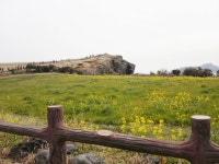 제주도우도 - 팝코넷 | 모바일 갤러리 제주도우도