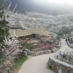 삼성스마트폰 풍경 (재탕) - 팝코넷 | 모바일 갤러리 삼성스마트폰  풍경 (재탕)