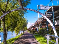 지난 가을 강변 산책로 - 팝코넷 | 모바일 갤러리 지난 가을 강변 산책로