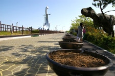 고성 공룡박물관에서......... - 팝코넷 | 포토 갤러리 고성 공룡박물관에서.........