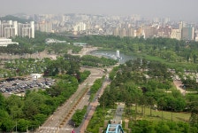 더운날에 하늘공원에서~ - 팝코넷 | 포토 갤러리 더운날에 하늘공원에서~