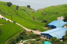 가천 다랭이마을... - 팝코넷 | 포토 갤러리 가천 다랭이마을...