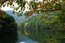 부산 어린이대공원 - 팝코넷 | 포토 갤러리 부산 어린이대공원