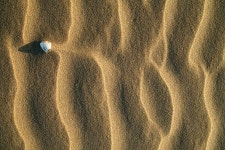 불시착 - 팝코넷 | 포토 갤러리 불시착