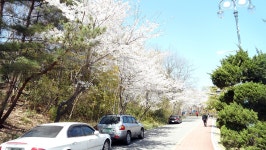 영랑호 등산로 - 팝코넷 | 포토 갤러리 영랑호 등산로