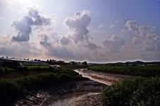 갯골생태공원 - 팝코넷 | 포토 갤러리 갯골생태공원