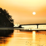 해뜬후 풍경 - 팝코넷 | 포토 갤러리 해뜬후 풍경