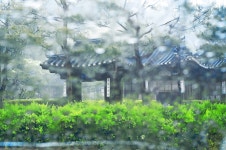 봄단비 소경 - 팝코넷 | 포토 갤러리 봄단비 소경